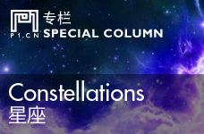 塔罗哈比熊十二星座 塔罗七日点评5/13~5/19