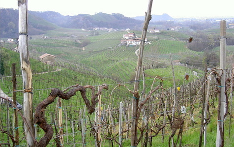 淘宝网 男人 摆渡人之歌-BARBI Brunello di Mo