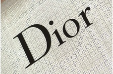 优雅再现：Lady Dior“我之所见”艺术展